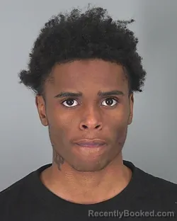 Mugshot of PERRY STURDIVANT