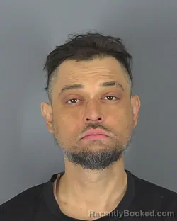 Mugshot of LORNE WARD