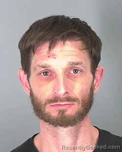 Mugshot of OBIE LAWS