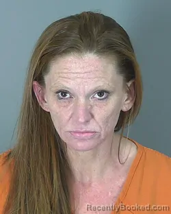 Mugshot of ASHLEY TURNER
