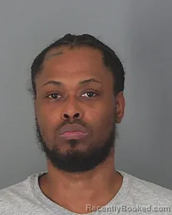 Mugshot of DARNELL WELLS
