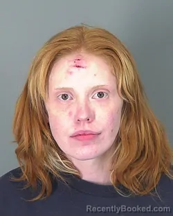Mugshot of ALICIA HUDSON