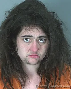 Mugshot of JAELYN ELDER