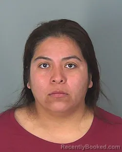 Mugshot of SOLEDAD FLORES-ARGUELLES