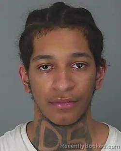 Mugshot of DEWAYNE WILSON