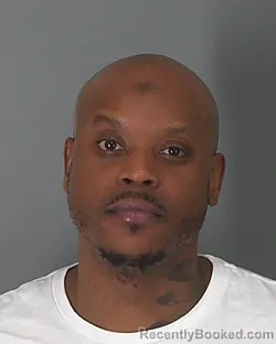 Mugshot of CARL CAMEAU