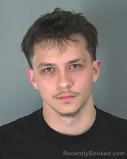 Mugshot of AVENIR PROKHOR