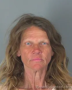 Mugshot of DEBBIE PLUMLEY booked in Spartanburg County, South Carolina on March 6, 2026