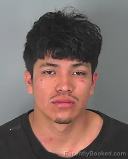 Mugshot of DIMAS PEREZ booked in Spartanburg County, South Carolina on March 7, 2026