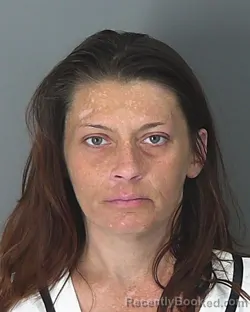 Mugshot of BRANDI MARTIN booked in Spartanburg County, South Carolina on March 7, 2026