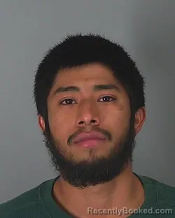 Mugshot of LUIS MONTES booked in Spartanburg County, South Carolina on March 9, 2026