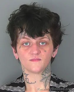 Mugshot of AMBER PERRY booked in Spartanburg County, South Carolina on March 11, 2026