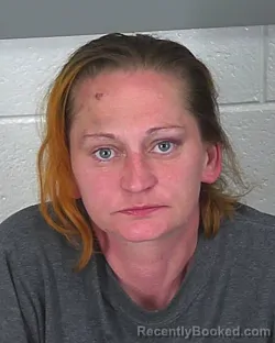 Mugshot of THERESA RODRIGUEZ booked in Spartanburg County, South Carolina on March 12, 2026