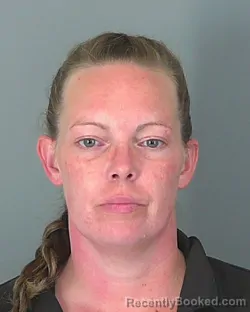 Mugshot of BRENDA CONN