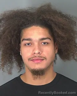 Mugshot of DARRELL LAWSON