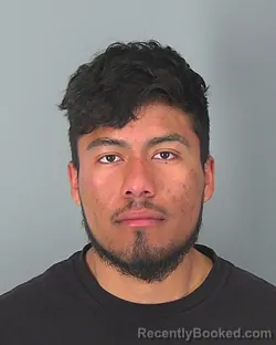 Mugshot of ALEJANDRO PEREZ