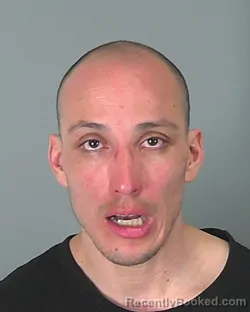 Mugshot of PETER YANES MENDEZ