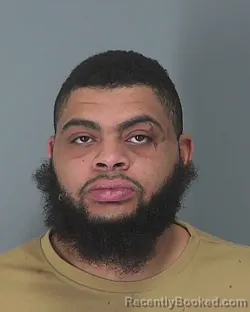 Mugshot of BRODERICK MCKENNY