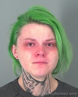 Mugshot of AMIEE MCKEE