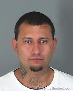 Mugshot of RIGOBERTO GARCIA