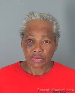 Mugshot of MARILYN YOUNG