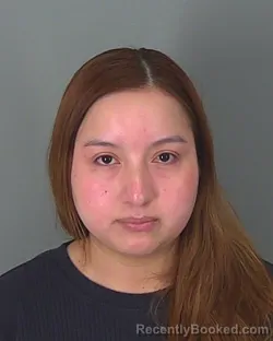 Mugshot of BRYSEYDA SANCHEZ booked in Spartanburg County, South Carolina on March 17, 2026