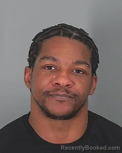 Mugshot of BRYAN BROWN