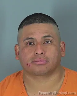 Mugshot of RAMON HERRERA RUIZ