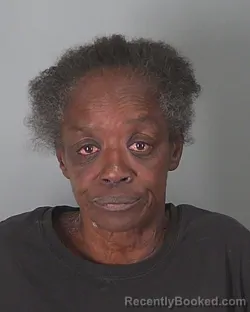 Mugshot of SANDRA BROOKS