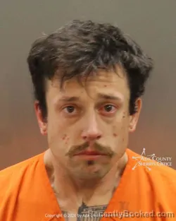 Mugshot of Terrin James Meholchick