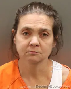 Mugshot of Camille Dawn Ginkel booked in Ada County, Idaho on October 4, 2026
