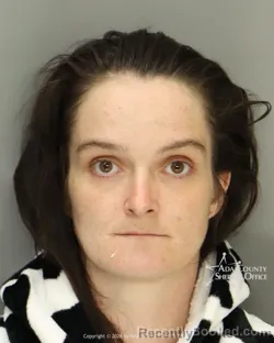 Mugshot of Megan Nelson booked in Ada County, Idaho on May 16, 2026