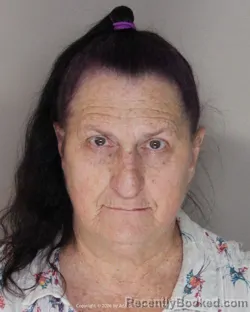 Mugshot of Angela Sue Brandt