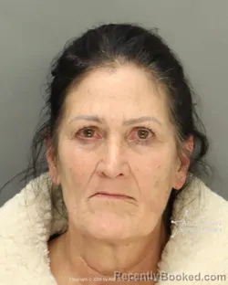 Mugshot of Sherry Ann Houst booked in Ada County, Idaho on March 9, 2026