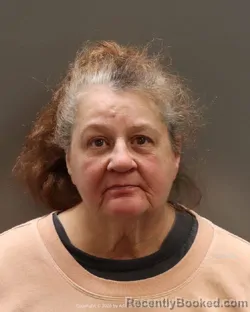 Mugshot of Cynthia Joyce Nealeigh booked in Ada County, Idaho on October 15, 2026