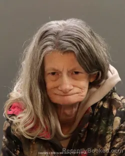 Mugshot of Veronica Rae Hardesty-Walker booked in Ada County, Idaho on March 17, 2026