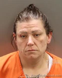 Mugshot of Tasha Rene Christesen booked in Ada County, Idaho on June 21, 2026