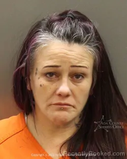 Mugshot of Holly Anne Pence