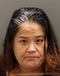 Mugshot of Meiko Lee Mcquilkin booked in Ada County, Idaho on June 25, 2026