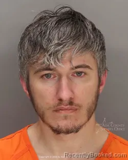 Mugshot of Simion Cristian Dinca