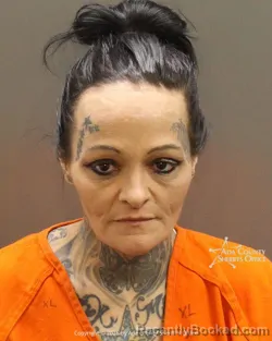 Mugshot of Heidi Hughey