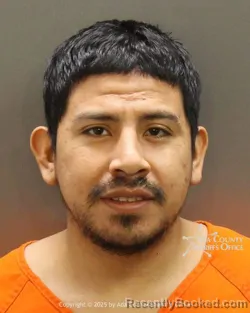 Mugshot of Geovany Carpio-Rodriguez