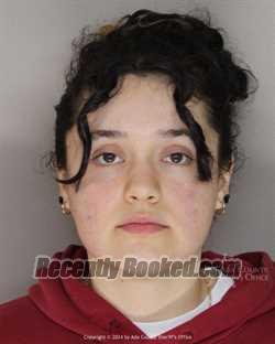 Booking photo from Ada County, Idaho