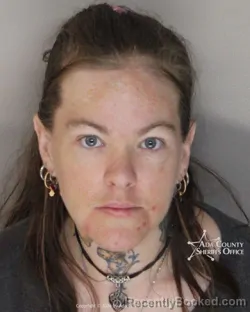Mugshot of Terra Lynn Na booked in Ada County, Idaho on October 8, 2026