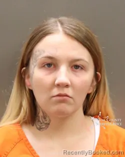 Mugshot of Caitlynn Nikole Shipman booked in Ada County, Idaho on August 11, 2026