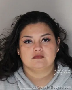 Mugshot of Maira Alejandra Torres booked in Ada County, Idaho on March 31, 2026