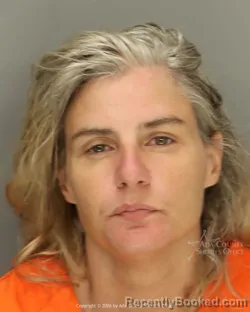 Mugshot of Megan Rebecca Beam booked in Ada County, Idaho on July 14, 2026