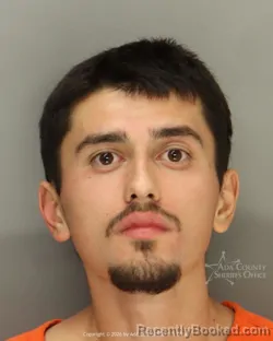 Mugshot of Jordan Gemini Crystal booked in Ada County, Idaho on October 5, 2026
