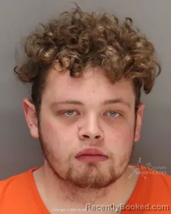 Mugshot of Paiton Lovell