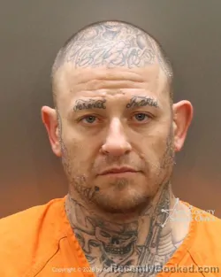 Mugshot of Randy Shane Acree